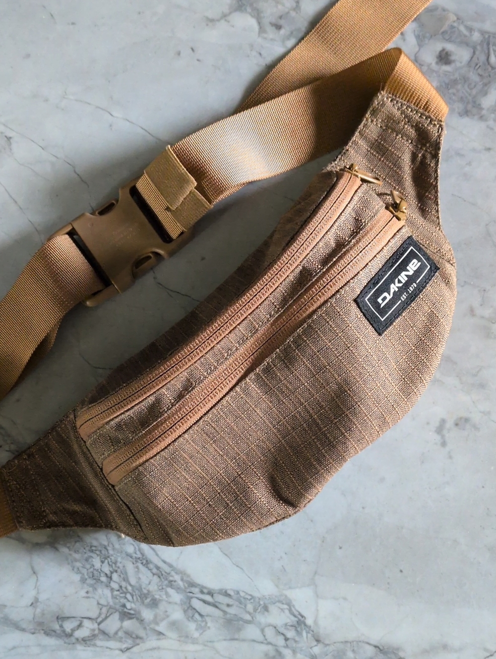 Dakine Classic Hip Pack